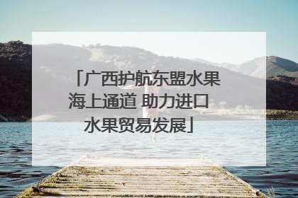 广西护航东盟水果海上通道 助力进口水果贸易发展