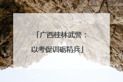 广西桂林武警：以考促训砺精兵