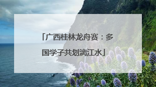 广西桂林龙舟赛：多国学子共划漓江水