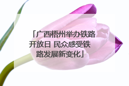 广西梧州举办铁路开放日 民众感受铁路发展新变化