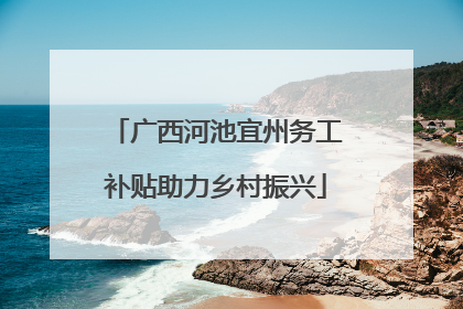 广西河池宜州务工补贴助力乡村振兴