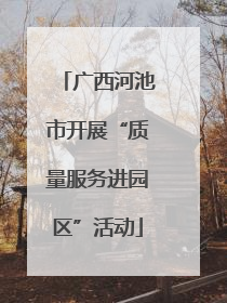 广西河池市开展“质量服务进园区”活动