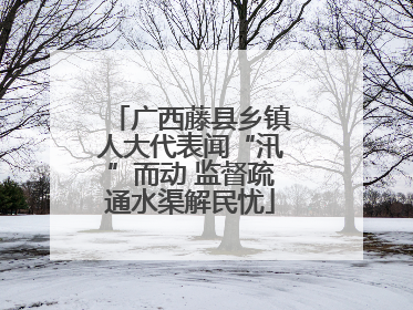 广西藤县乡镇人大代表闻“汛”而动 监督疏通水渠解民忧