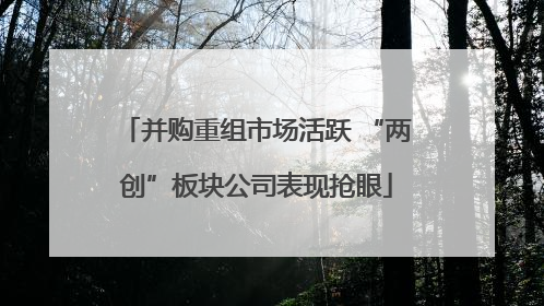 并购重组市场活跃 “两创”板块公司表现抢眼