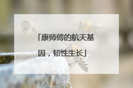 康师傅的航天基因，韧性生长