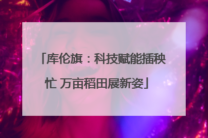 库伦旗：科技赋能插秧忙 万亩稻田展新姿