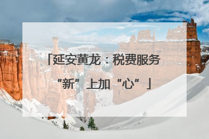 延安黄龙：税费服务“新”上加“心”