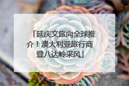 延庆文旅向全球推介！澳大利亚旅行商登八达岭采风