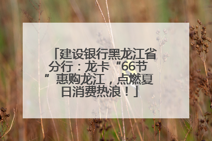 建设银行黑龙江省分行：龙卡“66节”惠购龙江，点燃夏日消费热浪！