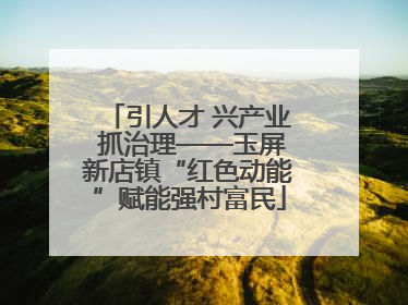 引人才 兴产业 抓治理——玉屏新店镇“红色动能”赋能强村富民