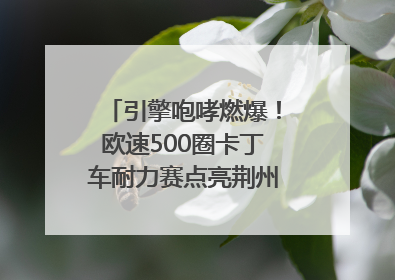 引擎咆哮燃爆！欧速500圈卡丁车耐力赛点亮荆州文旅新名片