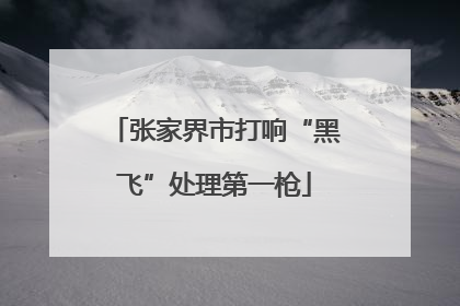 张家界市打响“黑飞”处理第一枪