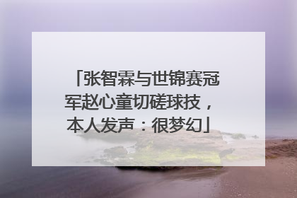 张智霖与世锦赛冠军赵心童切磋球技，本人发声：很梦幻