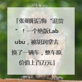 张朝阳后悔“退货”！一个绝版Labubu，被胡润拿去换了一辆车，整车原价值上百万元