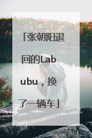 张朝阳退回的Labubu，换了一辆车