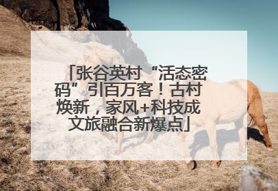 张谷英村“活态密码”引百万客！古村焕新，家风+科技成文旅融合新爆点