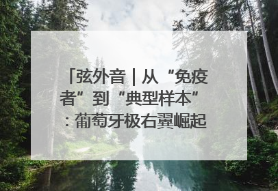 弦外音｜从“免疫者”到“典型样本”：葡萄牙极右翼崛起背后的欧洲困局