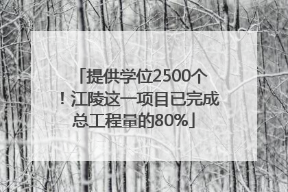提供学位2500个！江陵这一项目已完成总工程量的80%