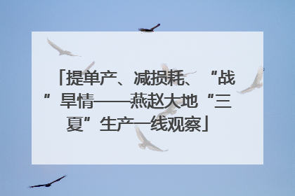 提单产、减损耗、“战”旱情——燕赵大地“三夏”生产一线观察