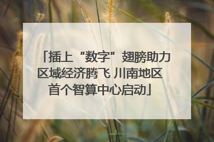 插上“数字”翅膀助力区域经济腾飞 川南地区首个智算中心启动