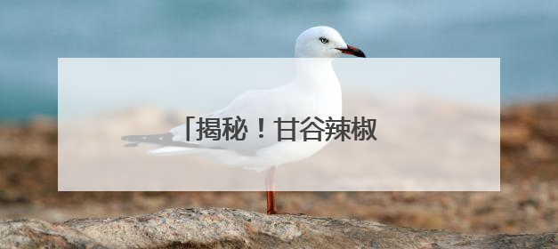 揭秘！甘谷辣椒火爆出圈的密码