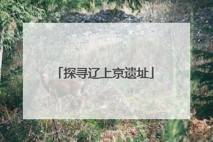 探寻辽上京遗址