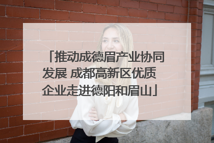 推动成德眉产业协同发展 成都高新区优质企业走进德阳和眉山