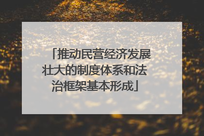 推动民营经济发展壮大的制度体系和法治框架基本形成