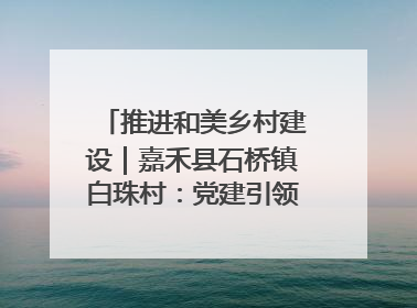 推进和美乡村建设｜嘉禾县石桥镇白珠村：党建引领破“空”局 乡贤聚力绘就新图景
