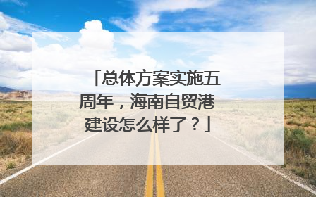 总体方案实施五周年，海南自贸港建设怎么样了？