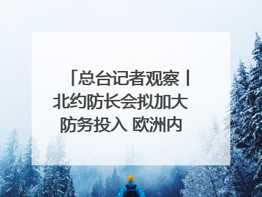 总台记者观察丨北约防长会拟加大防务投入 欧洲内部分歧难掩