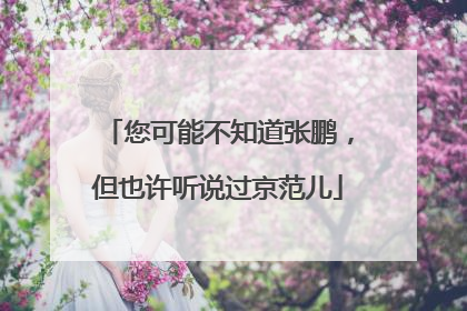 您可能不知道张鹏，但也许听说过京范儿