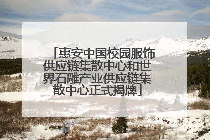 惠安中国校园服饰供应链集散中心和世界石雕产业供应链集散中心正式揭牌