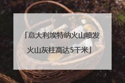 意大利埃特纳火山喷发 火山灰柱高达5千米