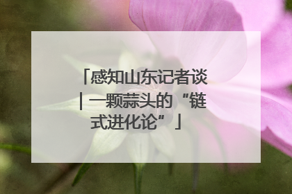 感知山东记者谈｜一颗蒜头的“链式进化论”