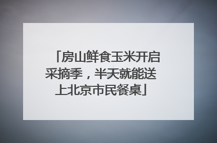 房山鲜食玉米开启采摘季，半天就能送上北京市民餐桌
