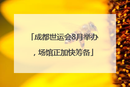 成都世运会8月举办，场馆正加快筹备