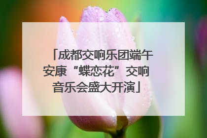 成都交响乐团端午安康“蝶恋花”交响音乐会盛大开演