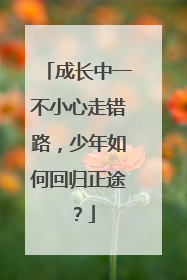 成长中一不小心走错路，少年如何回归正途？