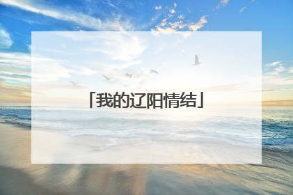 我的辽阳情结