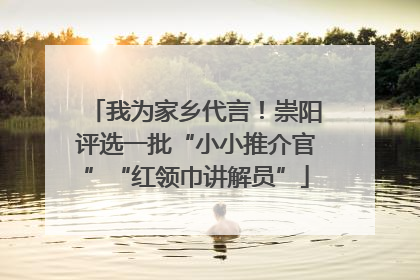 我为家乡代言！崇阳评选一批“小小推介官”“红领巾讲解员”