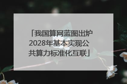 我国算网蓝图出炉 2028年基本实现公共算力标准化互联