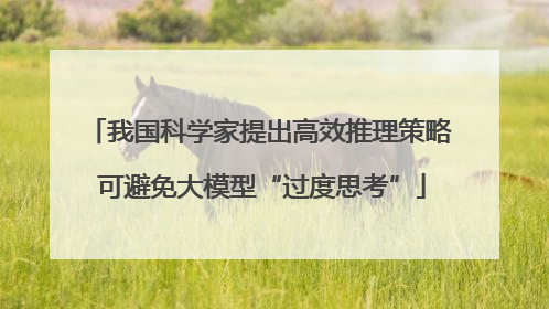 我国科学家提出高效推理策略 可避免大模型“过度思考”