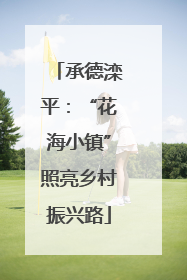 承德滦平：“花海小镇”照亮乡村振兴路