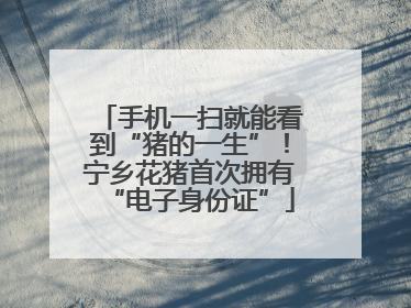 手机一扫就能看到“猪的一生”！宁乡花猪首次拥有“电子身份证”