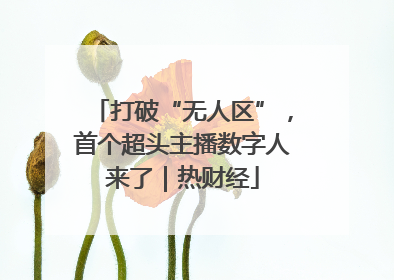 打破“无人区”，首个超头主播数字人来了｜热财经