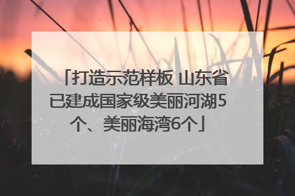 打造示范样板 山东省已建成国家级美丽河湖5个、美丽海湾6个