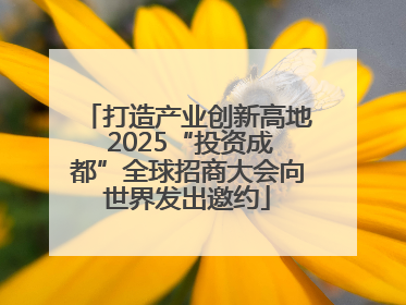 打造产业创新高地 2025“投资成都”全球招商大会向世界发出邀约