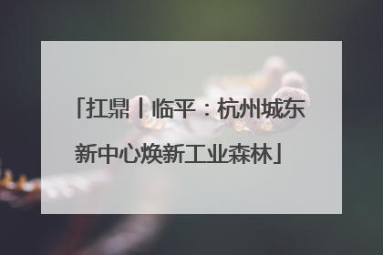 扛鼎丨临平：杭州城东新中心焕新工业森林