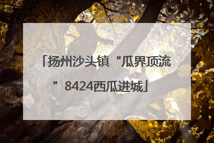 扬州沙头镇“瓜界顶流”8424西瓜进城